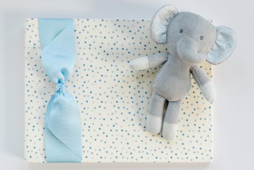 baby shower keepsake blue dots cover with blue grosgrain bow and elephant prop