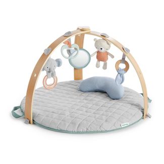 play gym baby registry must haves