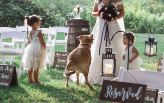 kid-friendly destination wedding showing two flower girls and a puppy with the bride